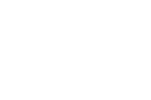 Aabenraa-Live-logo-hvid